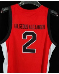 2 Gilgeous-Alexander Canada Basketball 2024 Summer Limited Swingman Jersey red