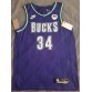 34 Antetokounmpo Bucks 22-23 jersey purple player version