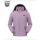 2025 the north face arctic down parka women's