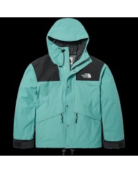 2025 the north face mens coat